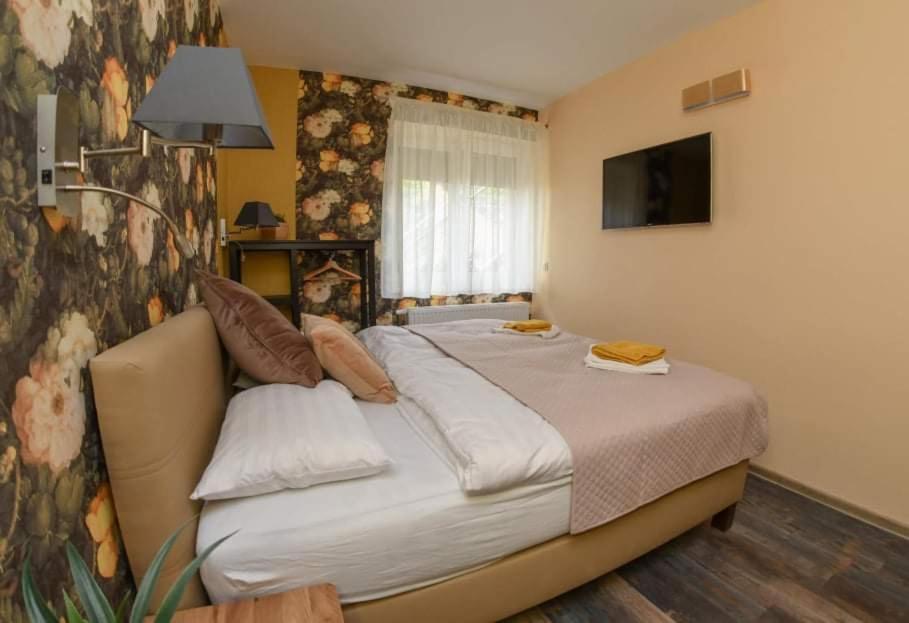 Stoger Panzio Bed & Breakfast Vasszécseny Exterior foto